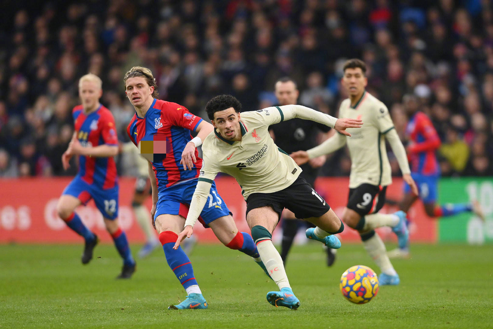 布更是备受 布更是备受